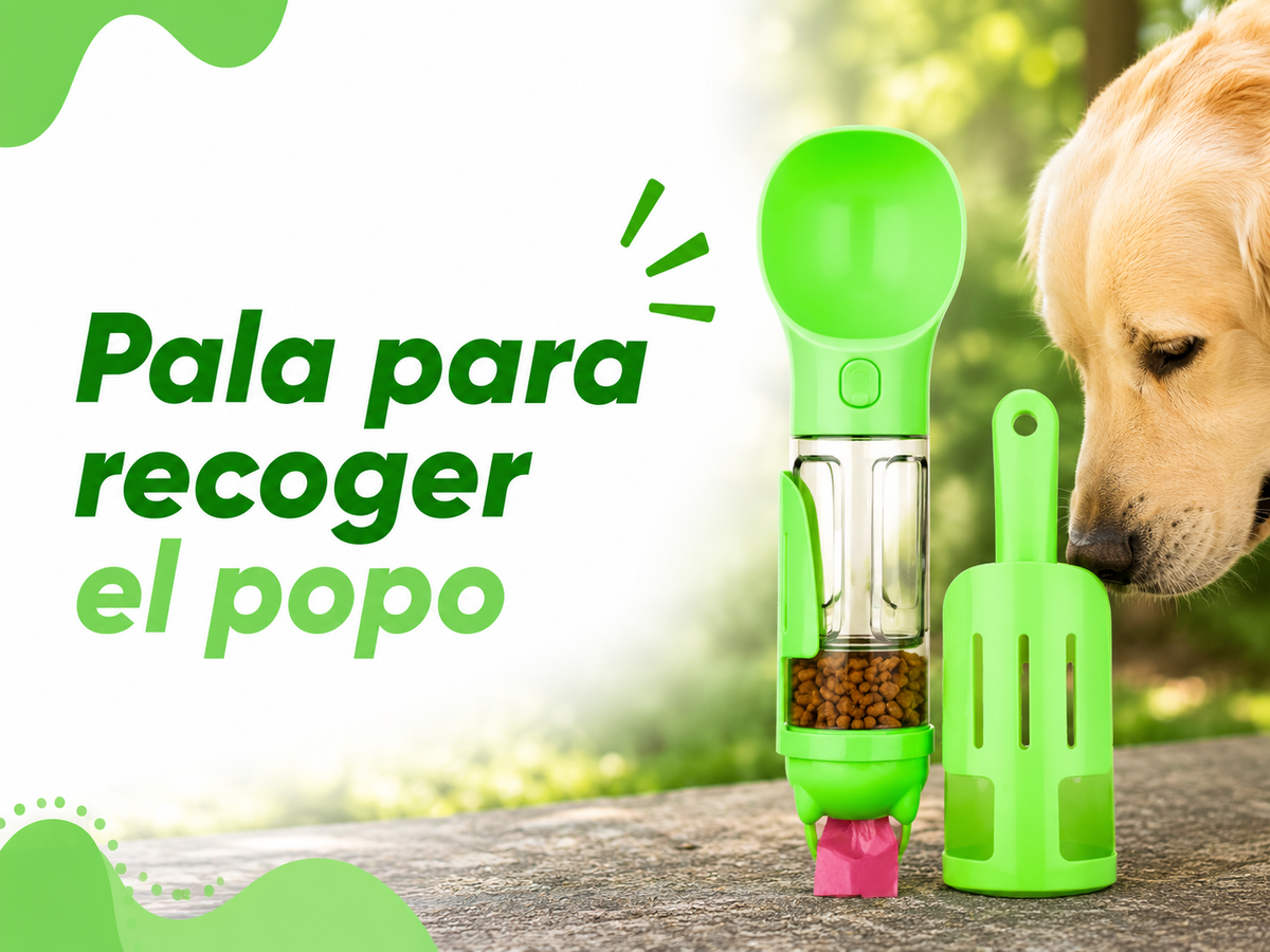 Botella mascota 4
