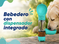 Bebedero con dispensador turquesa
